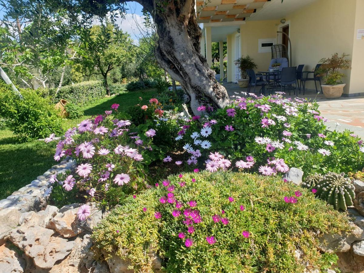 Studio Holiday Kalamata Apartment Exterior photo